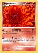Chrysantem