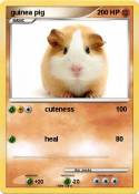 guinea pig