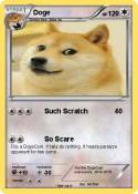 Doge
