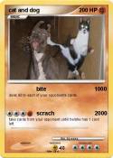 cat and dog