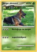berger allemand