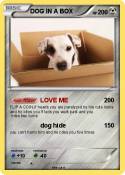 DOG IN A BOX