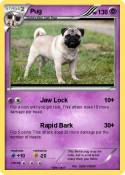 Pug