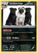 The three Pugs