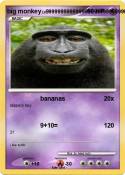 big monkey