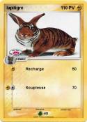 lapitigre