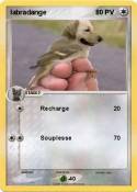 labradange
