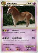 cheval psy
