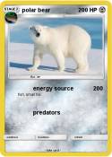 polar bear