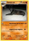 bambou EX