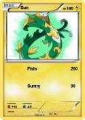 Sun