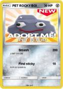 PET ROCKY BOI