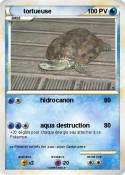 tortueuse