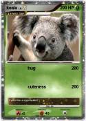 koala
