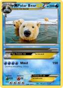 Polar Bear