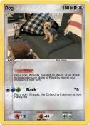 Dog