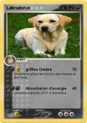 Labradorus