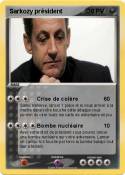 Sarkozy préside