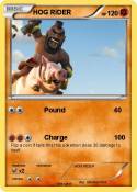 HOG RIDER