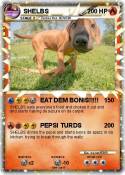 SHELBS