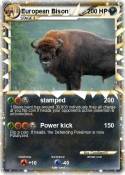 European Bison