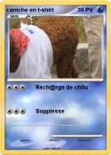 caniche en t-sh
