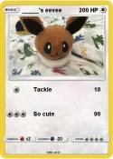 _____'s eevee