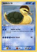 durtle lv 19