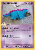 EVIL GUINEA PIG