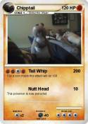 Chipptail