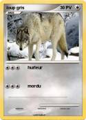loup gris