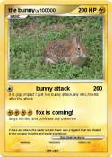 the bunny