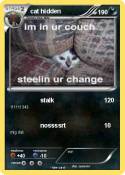 cat hidden