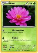 Flower