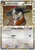 chaton herbes