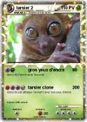 tarsier 2
