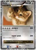 Kotek