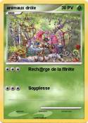 animaux drôle