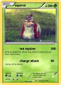 squirrel