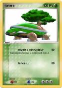 tortera
