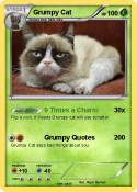 Grumpy Cat