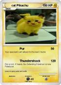 cat Pikachu