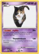 cat