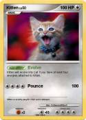Kitten