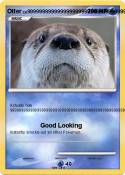 Otter