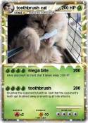 toothbrush cat