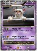 The Wet Cat