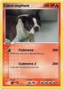 Cutest dog/Hank