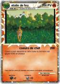 etoile de feu