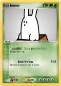 box bunny